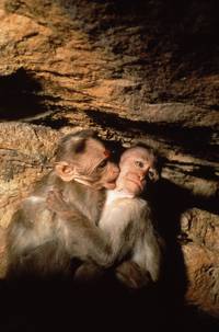 Кадр Страна обезьян