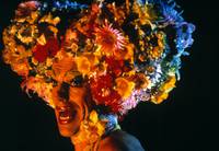 Кадр Приключения Присциллы, королевы пустыни