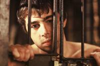 Кадр Медвежий поцелуй