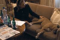 Кадр Гражданин Гавел