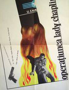 Особое задание леди Чаплин