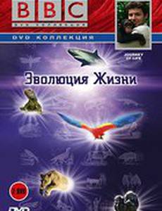 BBC: Эволюция жизни