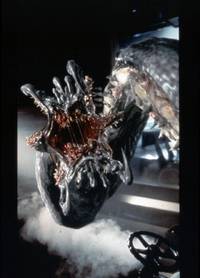 Кадр Подъем с глубины