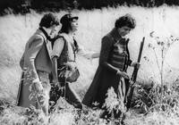 Кадр Прощай, моя малышка