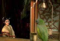 Кадр Сон в Красном тереме