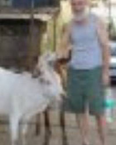 Роберт Зорн фото