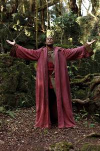 Кадр Мерлин