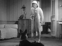 Кадр Тимур и его команда