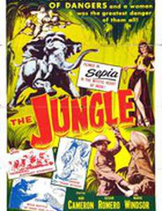 The Jungle