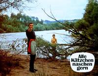 Кадр Все кошки любят полакомиться