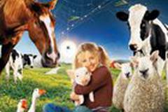 Паутина Шарлотты