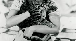 Кадр из фильма "Кошачий глаз" - 2