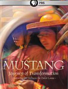 Мустанг: Поездка преобразования