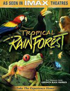 Тропический лес