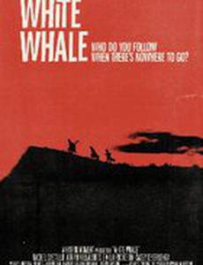 White Whale