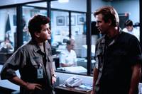 Кадр Морские котики