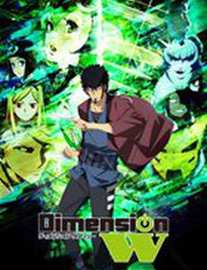 Измерение W