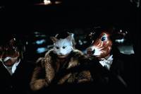 Кадр Неверно твоя