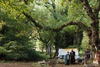 Кадр Мерлин