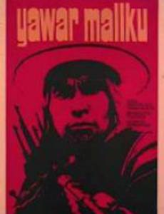 Кровь кондора