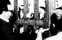 Кадр Ночи Кабирии