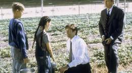 Кадр из фильма "Секретные материалы" - 2