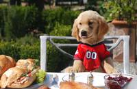 Кадр Принцы воздуха (видео)