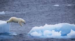 Кадр из фильма "Земля" - 2