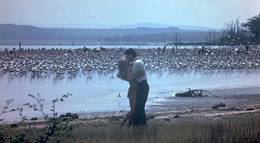 Кадр из фильма "Шина – королева джунглей" - 2