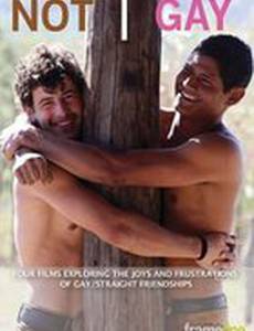 Не гей (мини-сериал)