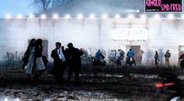 Кадр из фильма "Джинджер и Фред" - 2