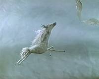 Кадр Большой секрет для маленькой компании