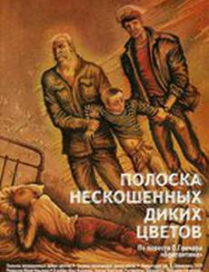 Полоска нескошенных диких цветов