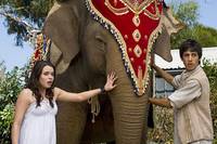 Кадр Слон и принцесса