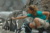 Кадр Удачи, Чак!