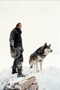 Кадр Белый клык