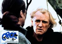 Кадр Смерть среди айсбергов