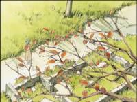 Кадр Дневник поездки в Иокогаму за покупками (видео)