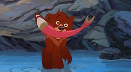 Кадр из фильма "Братец медвежонок 2: Лоси в бегах (видео)" - 1