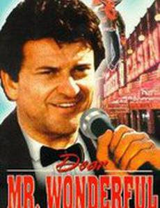 Дорогой мистер Вандерфул