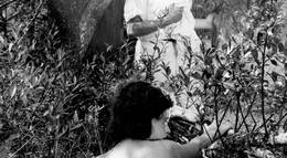 Кадр из фильма "Экстаз" - 1