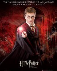 Постер Гарри Поттер и Орден Феникса