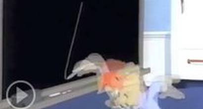 Мультфильм 