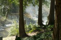 Кадр Дневники вампира