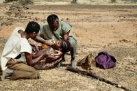 Кадр Вопрос чести