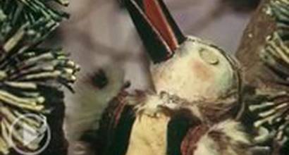 Мультфильм 