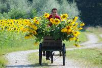 Кадр Willi und die Wunder dieser Welt