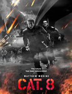 CAT. 8