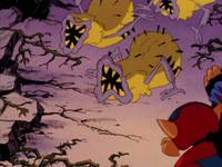 Кадр Коты быстрого реагирования