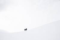 Кадр Каннибал